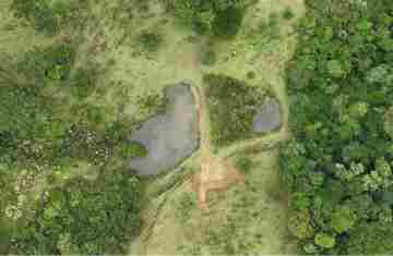  Paraná tem projeto de proteção de microbacias no campo para garantir segurança hídrica
